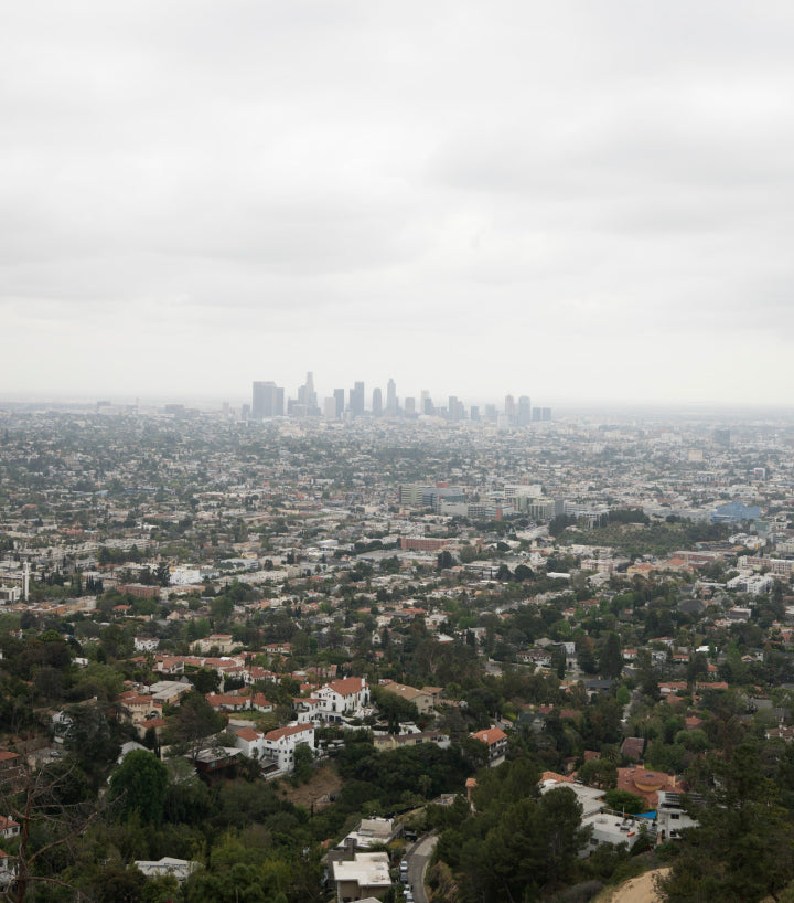 Photo of the Los Angeles skyline